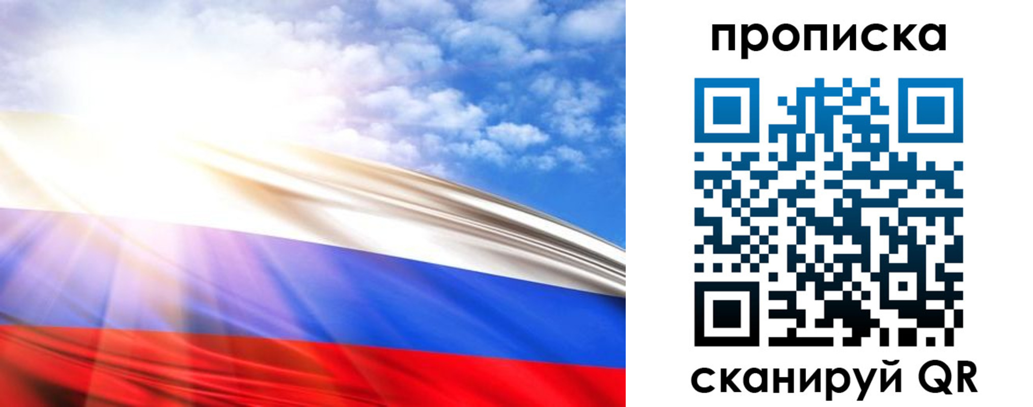 прописка в Мончегорске